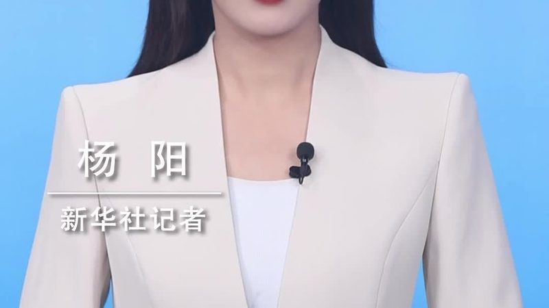 上海ERP软件代理公司：助力企业数字化转型